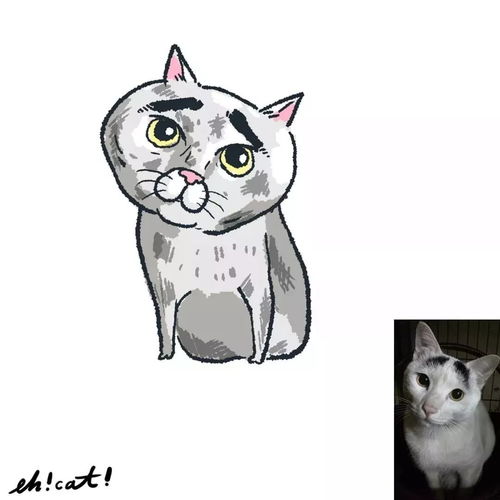  他把猫主子画的这么丑,却以魔性画风吸引了无数粉丝