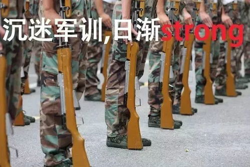  送你份军训通关秘籍,接好了