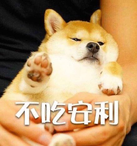  这绝对是史上最全的柴犬表情包了