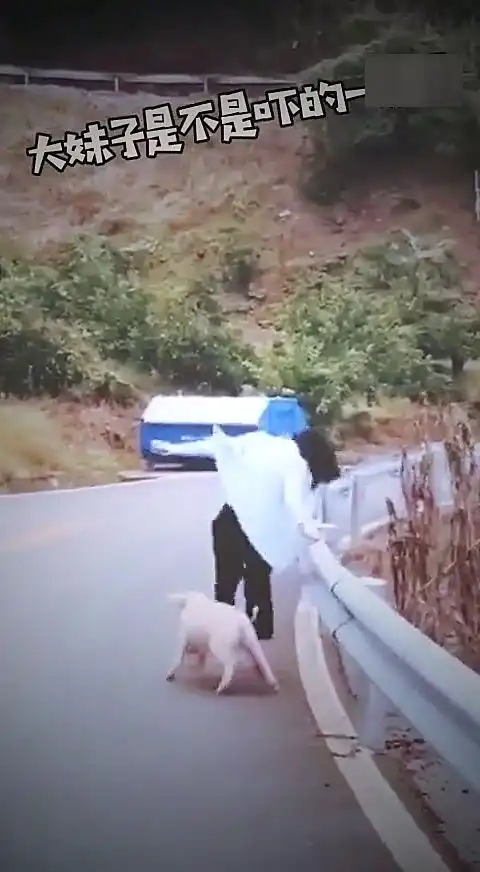  真实版,好白菜都被猪拱了