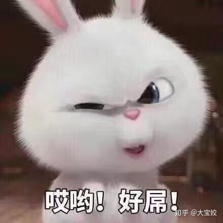  婚礼当天新人穿着注意事项