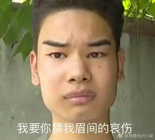 你在吗的表情包眉毛