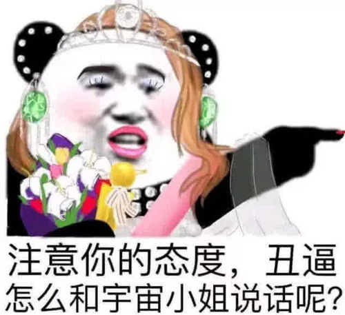  怼人专用表情包注意你的态度,丑逼怎么和宇宙小姐说话呢