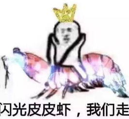  来一波我们走表情包,不止皮皮虾可以哦