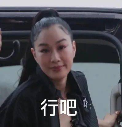  爱豆表情包乘风破浪的姐姐