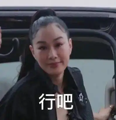  爱豆表情包乘风破浪的姐姐