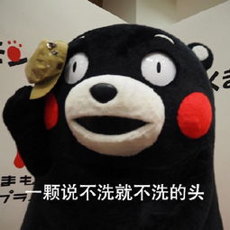  五一放假在家的我