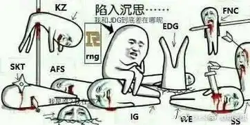  英雄联盟一张图反映了rng的真实现状,网友表示生动形象