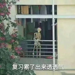  那几个让你恨得牙疼的学科