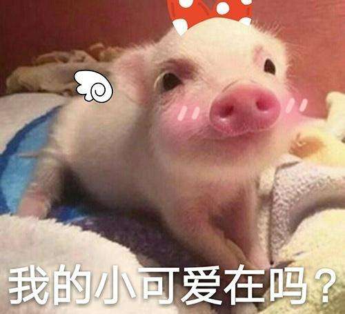  领导在微信群里发通知如何回复不懂三点技巧,难怪领导怪罪你