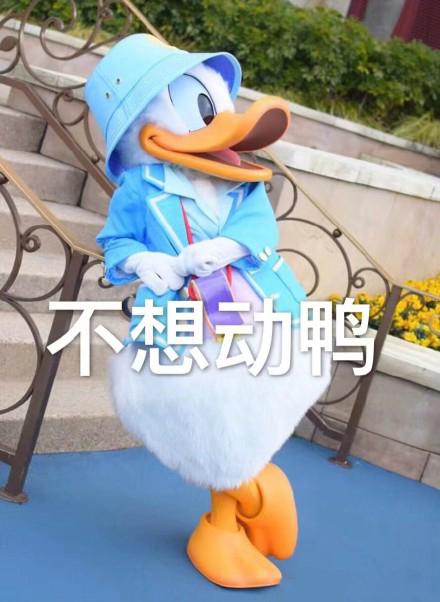  唐老鸭约人表情包今天吃什么鸭求安排鸭什么时候出去玩鸭
