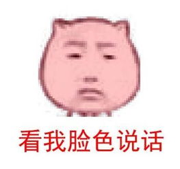  猥琐猫表情包单个