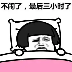  睡你麻痹,都天亮了