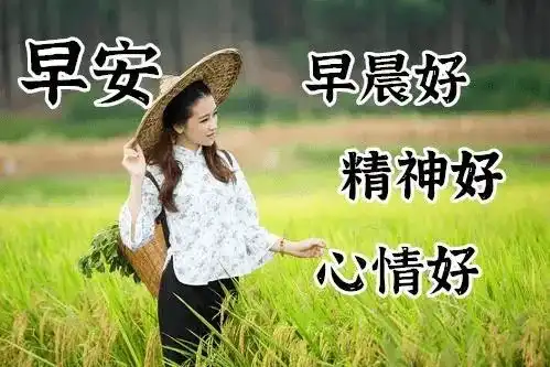  你经历的太多了,就会麻木分离多了,会习惯早安生活