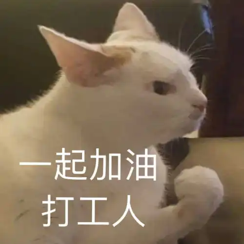 社恐人表情包和我
