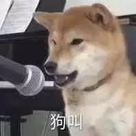  如何用一千多玩转大理五天四夜的旅游攻略