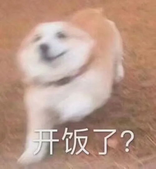 我来的表情包干饭
