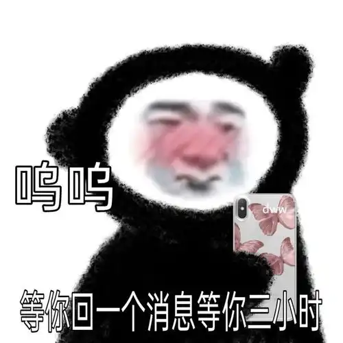  王思聪同款表情包