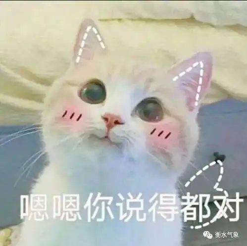 算我求你的表情包猫考试