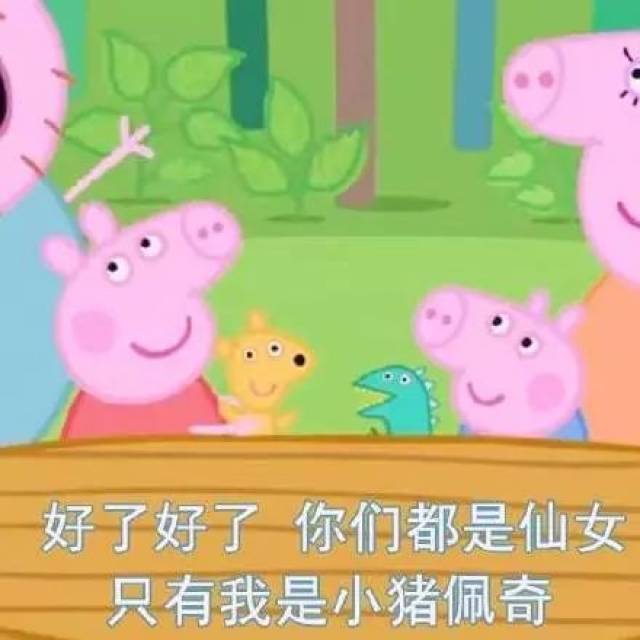  单身太久的女生都是小猪佩奇