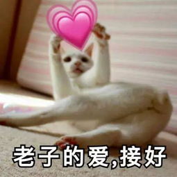 大哥的爱收好表情包老子
