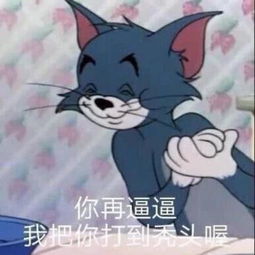  群聊没有表情包怼人收好超带劲怼人表情包,气得他直跺脚