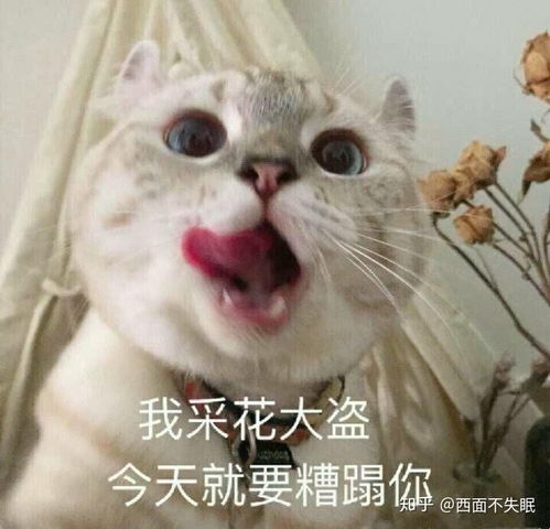  国货化妆品靠谱么有人用过吗