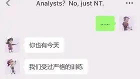  这翻译,尼玛牛皮