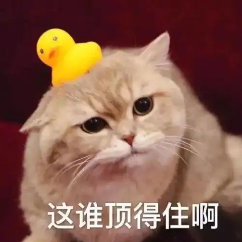 神装秀失手到底是什么感觉这位一身高敏的89异人只能回答你不知道... 神装秀失手到底是什么感觉这位一身高敏的89异人只能回答你不知道...