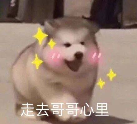  这表情包有毒,存到停不下来