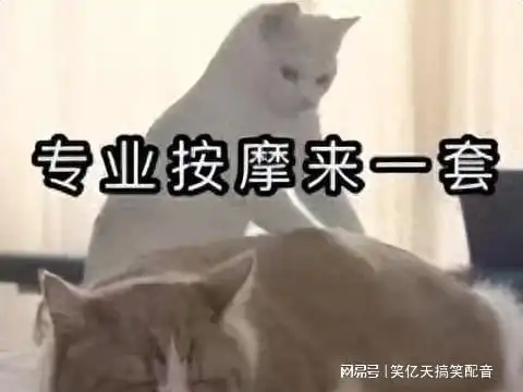 风中凌乱表情包图片风带