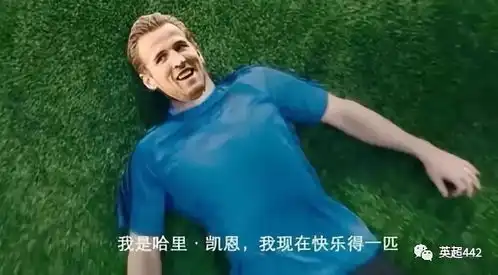  别把三狮当病猫了,这样的英格兰cr7都慌