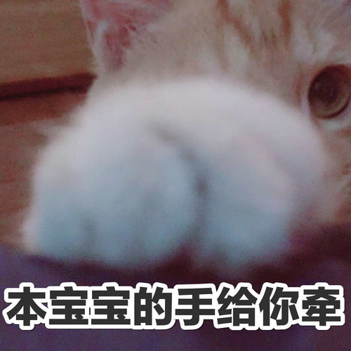  8.28更新包包和衬衣,剁手不能停的我来第...