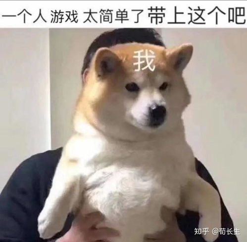  大家手机存着最沙雕表情包是什么互相交流一下呀
