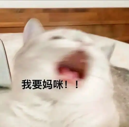 表情包壁纸桌面妈妈