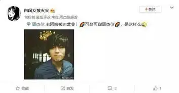  中老年大型粉丝被迫营业现场周杰伦的粉丝都被逼疯了