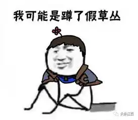  我可能x的是假x,2017年首个网络热词原来这样诞生