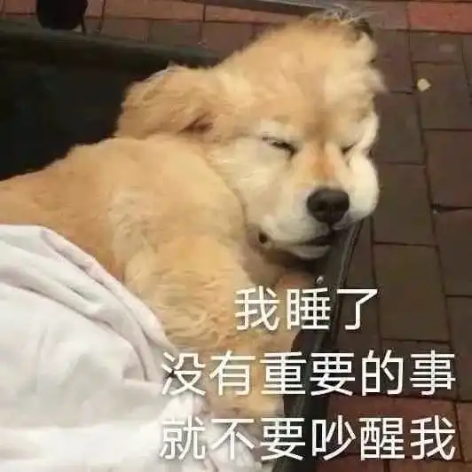 算我求你的表情包猫狗狗