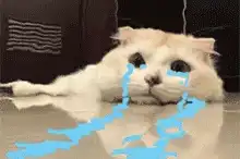  表情包哭泣动图gif系列