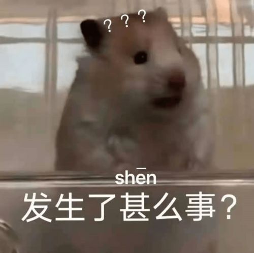  方言对颜值的影响有多大哈哈哈哈哈哈哈哈被网友评论笑疯了