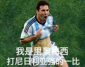 慌的表情包阿根廷