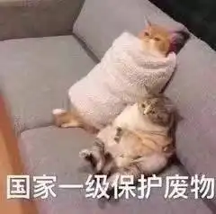  墨镜一带谁都不爱表情包图片我可以我可以我超可以表情包下载乐游网游戏下载