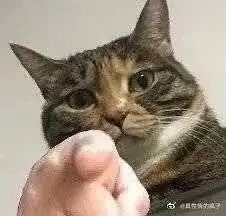  学术