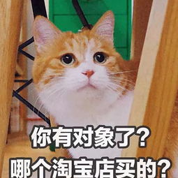 承包你衣食住行的淘宝,也想承包你的情感生活