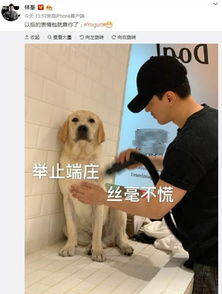  终于真相了林峯求婚钻戒本尊回应了到底说了什么透露什么信息