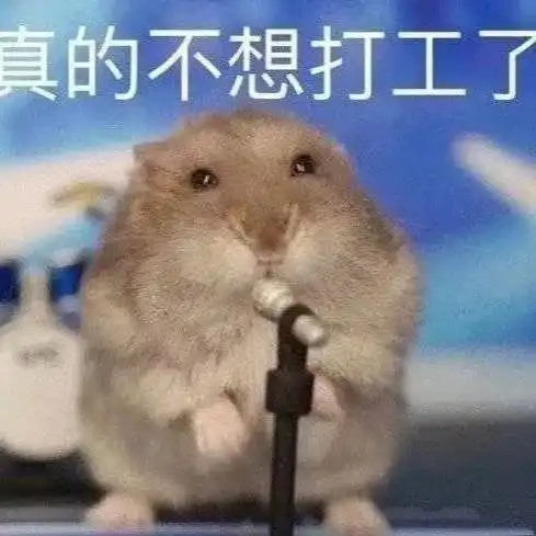 西伯利亚鼯鼠表情包打工