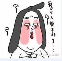  什么是终本案件