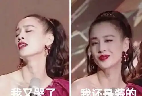 风中凌乱表情包图片郭碧