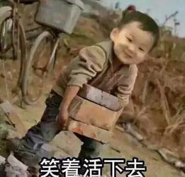 我来的表情包搬砖