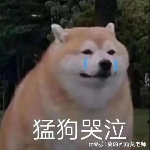  投诉近万条双十一真是一手好牌打得稀烂